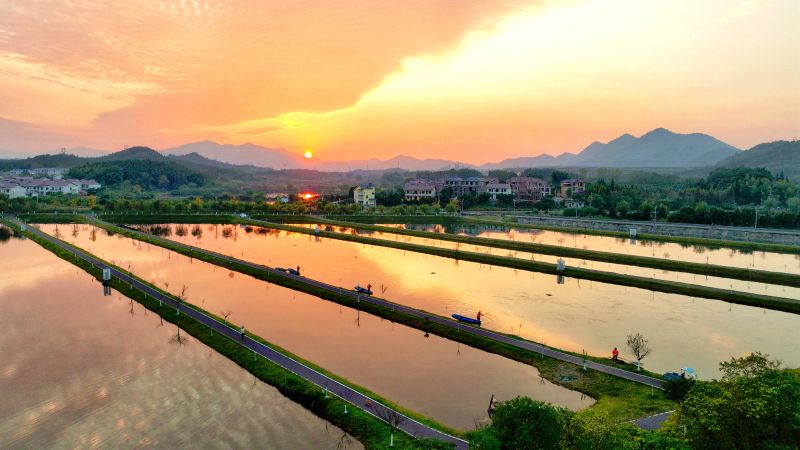 江西分宜：夕阳映照湿地美